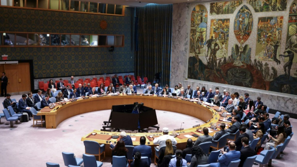 Se espera que EEUU vete nueva resoluci&oacute;n sobre Gaza en el Consejo de Seguridad