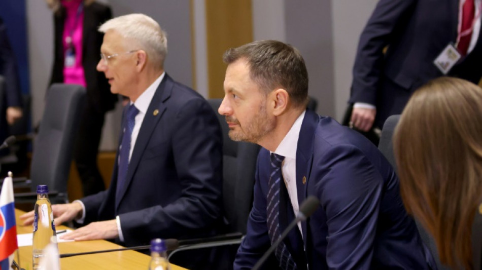 Eslovaquia entregar&aacute; 13 cazas MiG-29 a Ucrania 