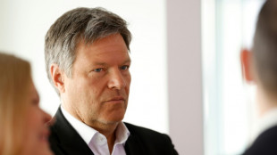 Droits de douane: l'Allemagne soutient l'UE dans sa recherche d'une "solution n&eacute;goci&eacute;e" avec Washington