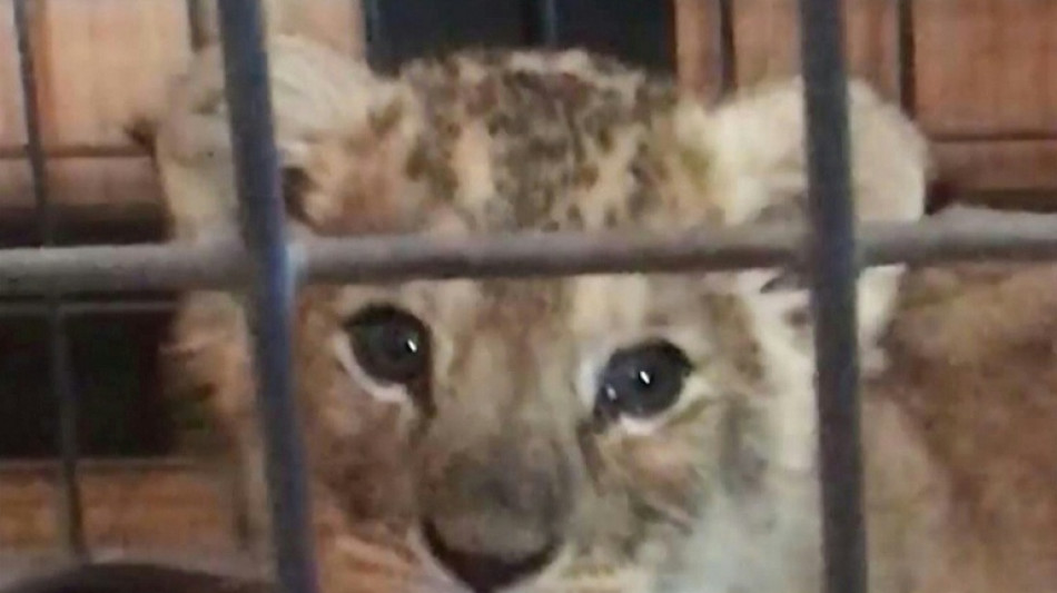 La Fondation 30 millions d'amis g&egrave;re mal ses finances, selon la Cour des comptes