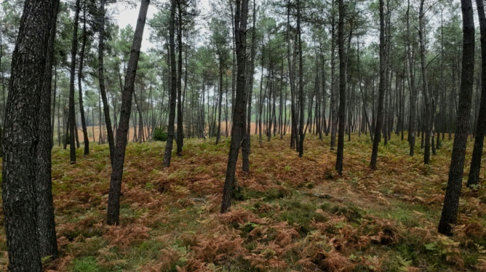 Restauration de la nature: un texte de l'UE pour pr&eacute;server les &eacute;cosyst&egrave;mes