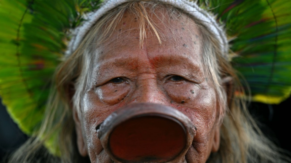 Raoni: Bolsonaro doit "r&eacute;pondre de tout ce qu'il a fait"