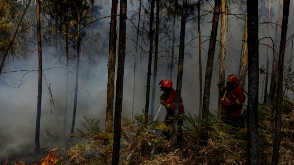 Le sud de l'Europe en proie aux incendies, pic de chaleur dans la p&eacute;ninsule ib&eacute;rique