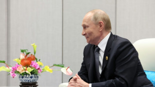 SOZ-Gipfel: Putin trifft Irans Staatschef Peseschkian zu Gespr&auml;ch &uuml;ber Atomprogramm