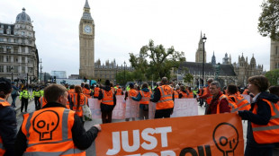 Militantes ecologistas del Reino Unido, condenados a 4 y 5 a&ntilde;os de c&aacute;rcel