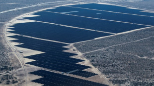 Le Mexique invite "tous les pays" &agrave; investir dans sa transition &eacute;nerg&eacute;tique 