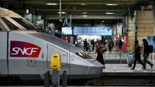 Chat &eacute;cras&eacute; par un TGV: la SNCF condamn&eacute;e &agrave; une amende de 1.000 euros