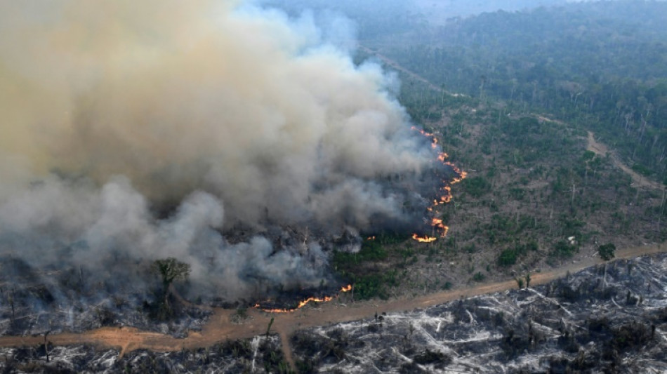 D&eacute;forestation et incendies: alertes tous azimuts sur l'Amazonie