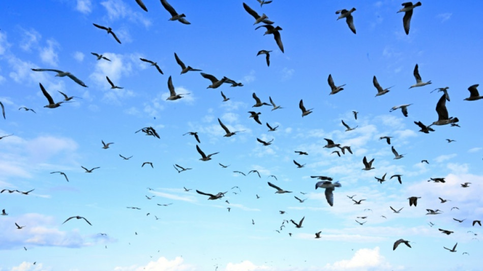 "Un tournant" apr&egrave;s les crises: les p&ecirc;cheurs fran&ccedil;ais r&eacute;unis &agrave; Boulogne-sur-Mer