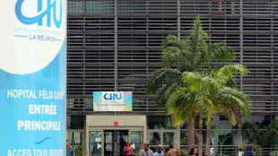 Chikungunya à La Réunion: six décès, mais une amorce de recul de l'épidémie