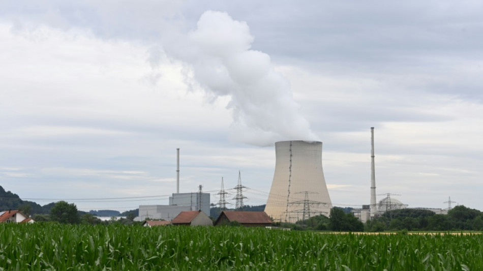 Djir-Sarai wirft Habeck M&auml;ngel bei Akw-Stresstest vor
