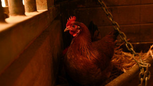 La inflaci&oacute;n en EEUU vuelve a repuntar en mayo a 2,3% en 12 meses