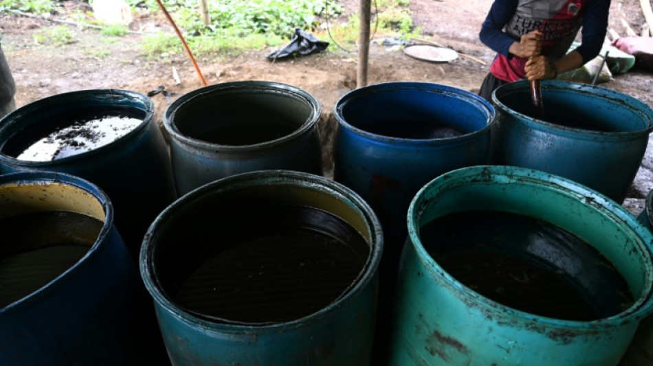 La producci&oacute;n de coca&iacute;na en Colombia se dispar&oacute; un 53% en 2023