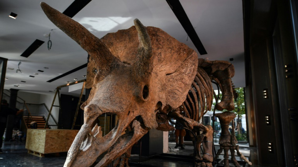 Dinosaures: ru&eacute;e vers l'os et march&eacute; aux allures de far west