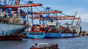 Ifo: "Reziproke" US-Z&ouml;lle h&auml;tten nur geringen Einfluss auf Exporte aus Deutschland