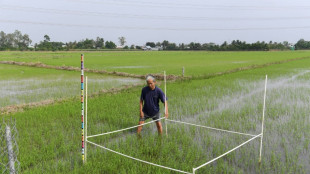 Las concentraciones de metano en la atm&oacute;sfera se aceleran, seg&uacute;n un nuevo estudio