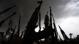 Delhi, 'cargo indiano attaccato e affondato nel Mar Rosso'