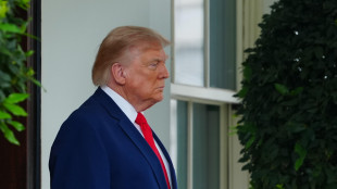 Trump, ogni volta che l'Iran spara a Hormuz colpiremo un ponte o centrale elettrica