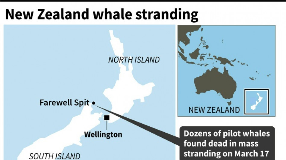Dozens of whales die in New Zealand mass stranding