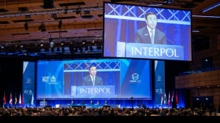 Incautan 300 millones de d&oacute;lares en una operaci&oacute;n internacional contra las estafas en internet