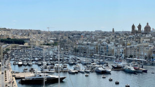 Europ&auml;ischer Gerichtshof urteilt &uuml;ber Verkauf von Staatsb&uuml;rgerschaften in Malta