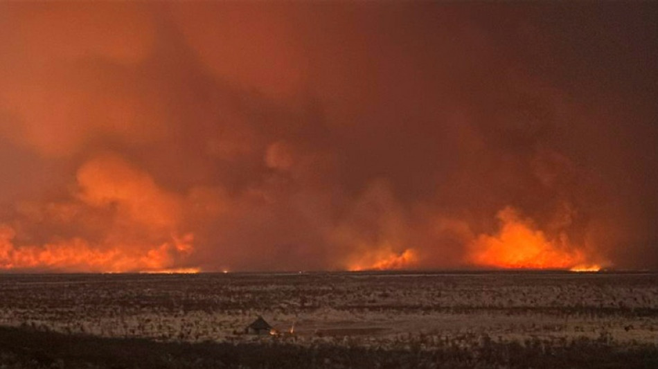 El gigantesco incendio en una reserva de animales de Namibia est&aacute; controlado, seg&uacute;n una ministra