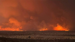 El gigantesco incendio en una reserva de animales de Namibia est&aacute; controlado, seg&uacute;n una ministra