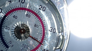 Europa debe "redoblar" sus esfuerzos contra el cambio clim&aacute;tico, advierte una agencia de la UE