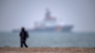 Babyseehund verirrt sich an Deichpromenade: Einsatz für Feuerwehr in Bremerhaven