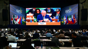 Au G20, Lula appelle &agrave; ne pas rel&acirc;cher l'effort sur le climat, &agrave; l'ombre de l'Ukraine