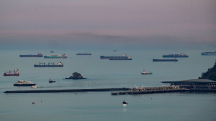 Presidente do Panam&aacute; diz que deten&ccedil;&atilde;o de embarca&ccedil;&otilde;es em portos chineses &eacute; medida pol&iacute;tica