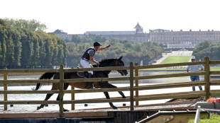 Bien-&ecirc;tre animal: l'&eacute;quitation veut se remettre en selle aux JO-2024