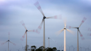 Emissionen 2024 um 3,4 Prozent gesunken - Verb&auml;nde sehen Klimabilanz kritisch
