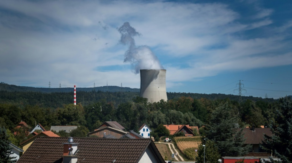 Schweiz schl&auml;gt nukleares Endlager unweit der deutschen Grenze vor