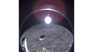 "Bonne nuit, Odie": la sonde américaine sur la Lune a été mise en sommeil