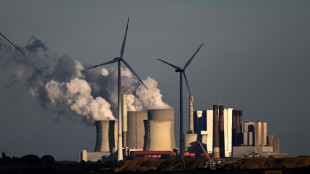 IEA-Chef erwartet baldigen H&ouml;hepunkt der Nachfrage nach fossiler Energie