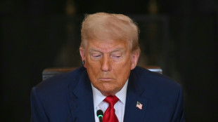 US-Berufungsgericht blockiert Trumps Staatsb&uuml;rgerschafts-Pl&auml;ne