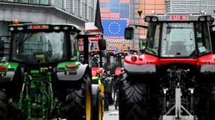 Col&egrave;re agricole: les 27 examinent une r&eacute;vision de la PAC, tracteurs attendus &agrave; Bruxelles