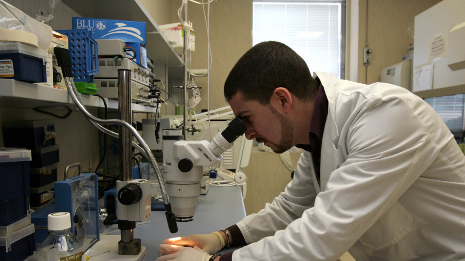 Insulina somministrata attraverso la pelle con la pomata hi-tech