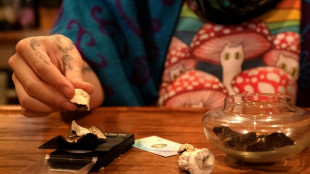 &iquest;Legalizar los hongos alucin&oacute;genos con Trump? Los aficionados a la psicodelia est&aacute;n esc&eacute;pticos