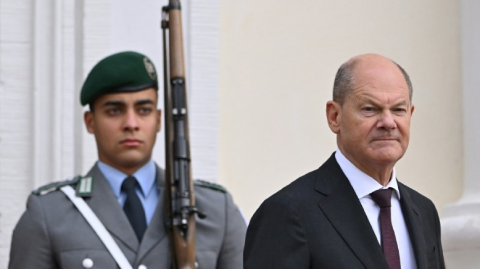 El gobierno alem&aacute;n aprueba el nuevo servicio militar voluntario