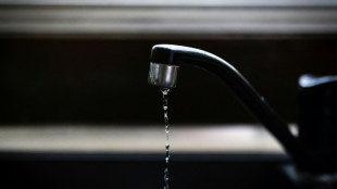 "Polluants &eacute;ternels": l'Anses formule des recommandations pour am&eacute;liorer leur surveillance