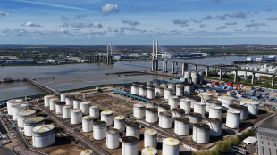 Il petrolio &egrave; in calo a New York, scivola a 76,74 dollari