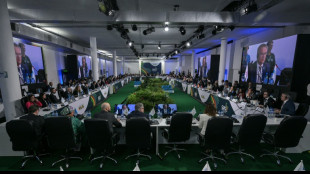 Au Brésil, un G20 divisé et bloqué par "l'impasse" sur l'Ukraine et Gaza