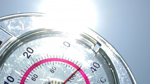 Changement climatique: une dizaine d'indicateurs dans le rouge, alertent des scientifiques de r&eacute;f&eacute;rence