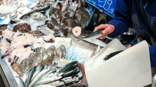 Que signifie vraiment le label MSC sur les &eacute;tiquettes de poisson?