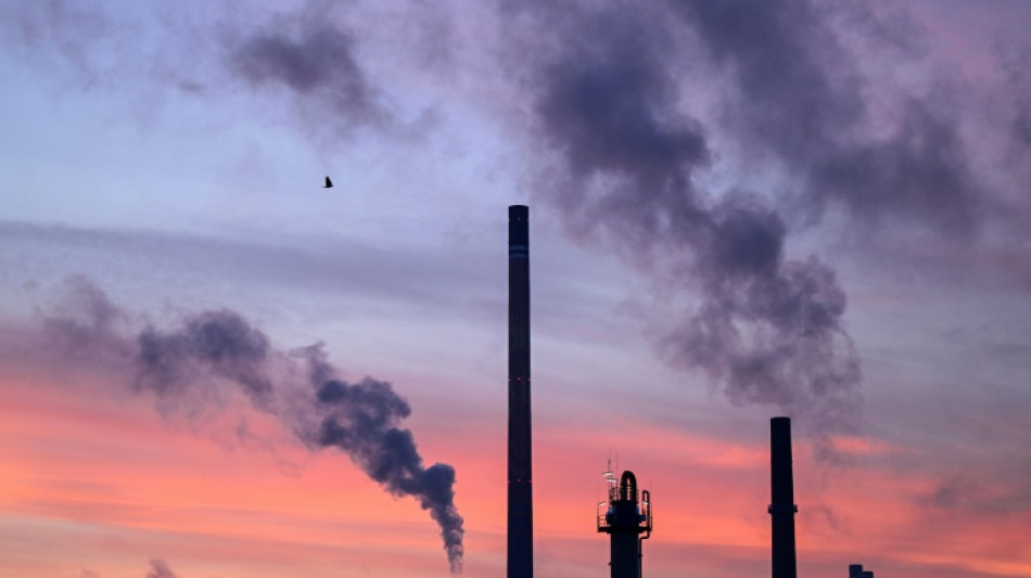 Habeck startet Versteigerung von Klimaschutzvertr&auml;gen 