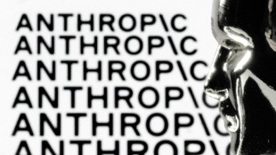 Casa Branca se op&otilde;e a ampliar acesso da Anthropic ao modelo Mythos, diz imprensa