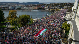 Ungarischer Nationalfeiertag: Regierung und Opposition mobilisieren Zehntausende