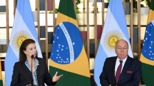 Argentina 'jamais vai interferir' em assuntos do Brasil, diz chanceler ap&oacute;s apoio de Milei a Musk 